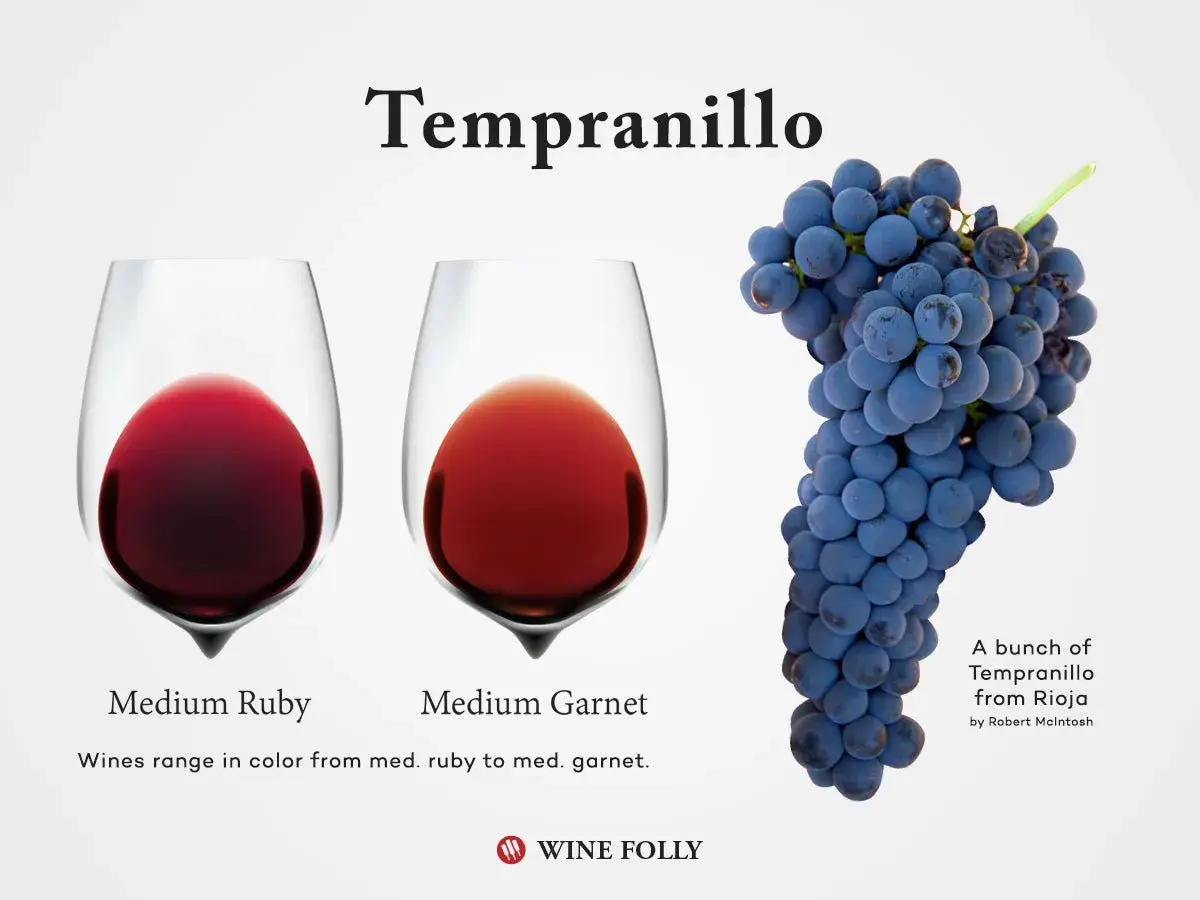 Two glasses of tempranillo red wine, one medium ruby, the other medium garnet, next to a bunch of ripe tempranillo grapes.
