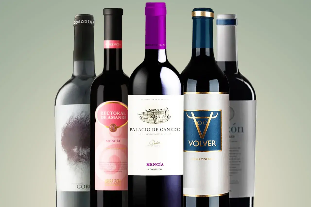 A collection of five bottles of Spanish red wines, featuring Mencia and other varietals, ready to be savored.