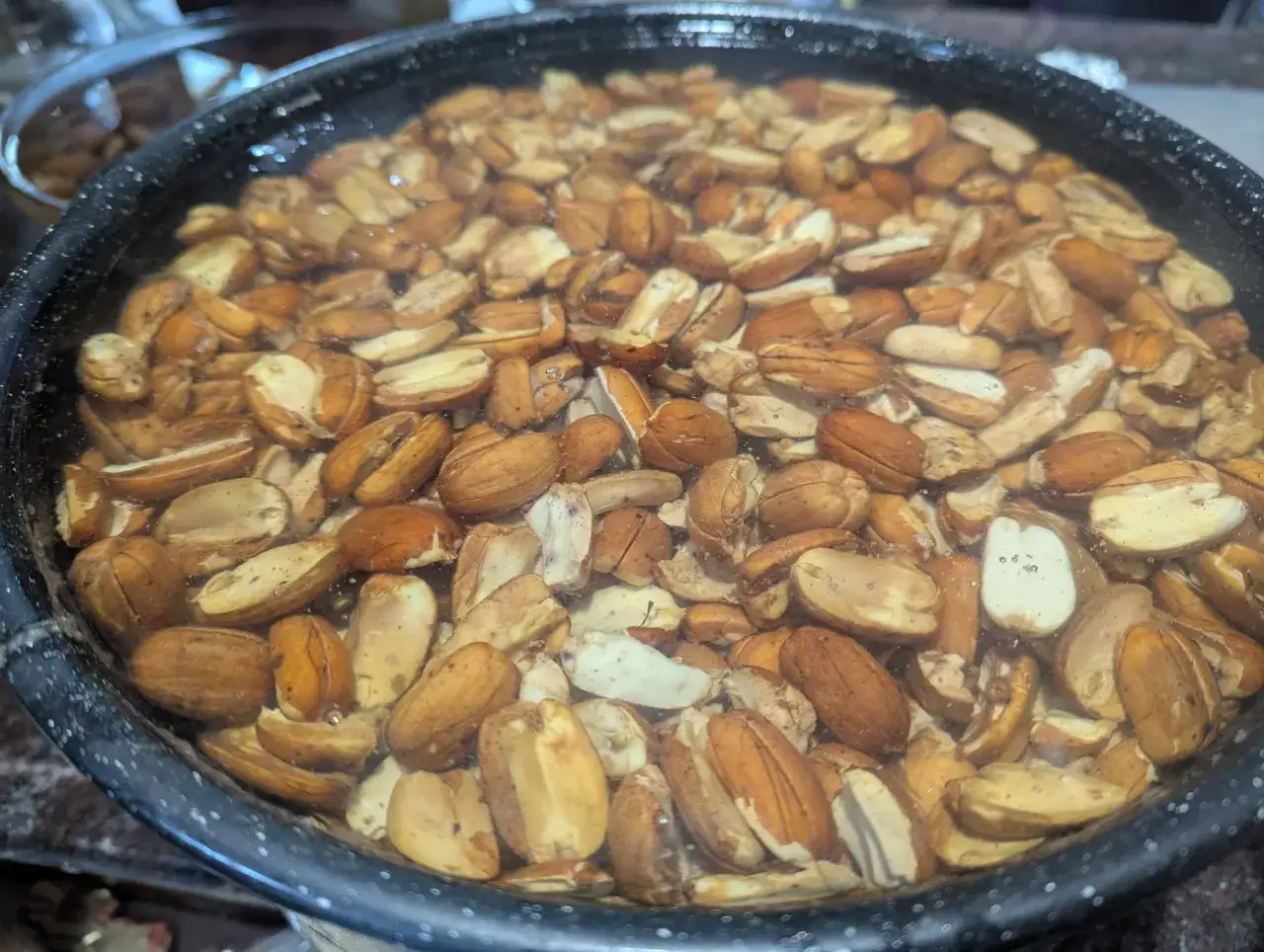 A bowl of acorns soaking in water, suggesting preparation for consumption. Yes, you can eat acorns after proper processing.