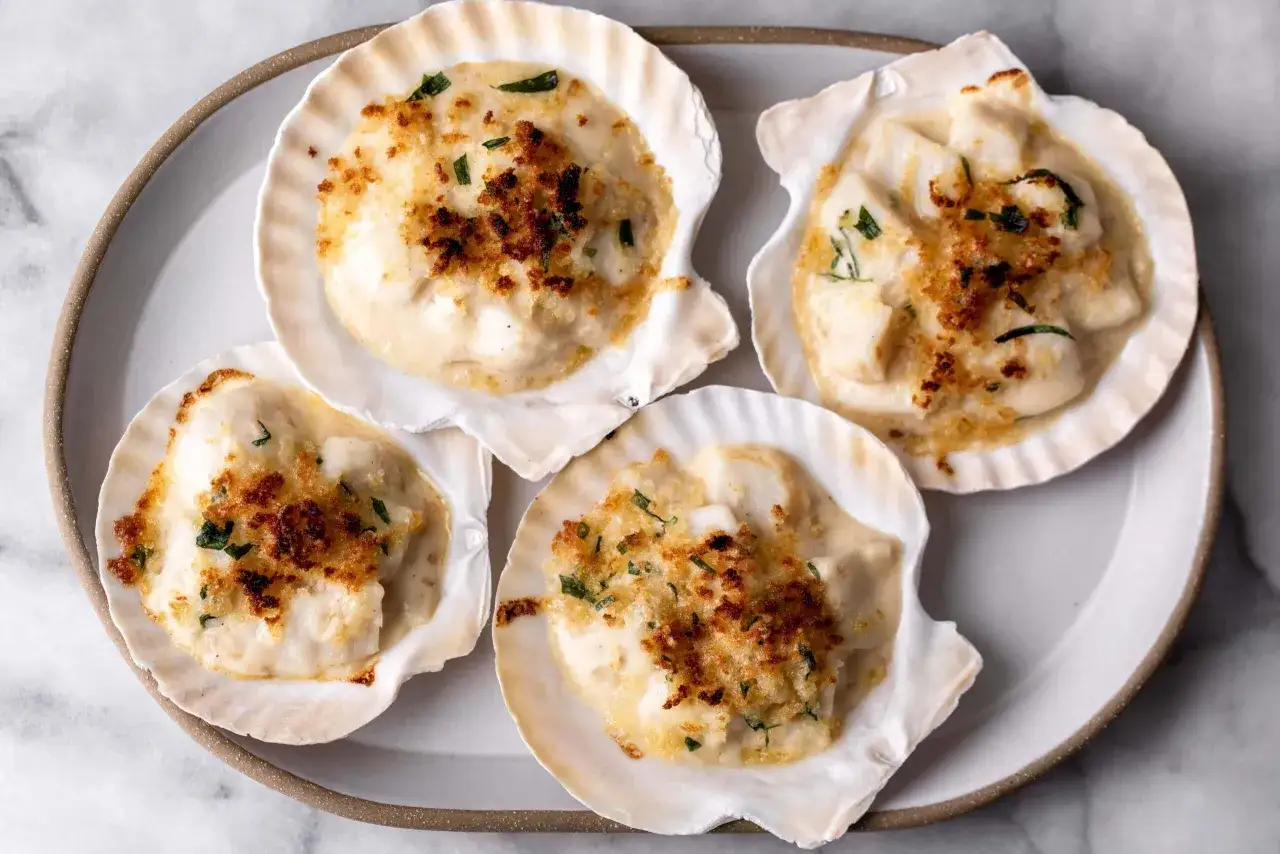 Four scallop gratin dishes served in their shells, topped with creamy sauce and golden breadcrumbs, garnished with herbs.