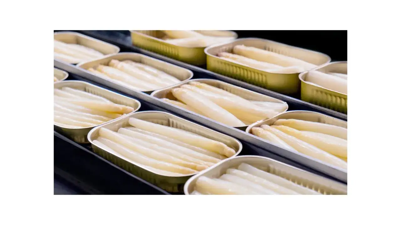 Rows of canned spanish asparagus, neatly arranged in their metallic containers, ready for culinary adventures.