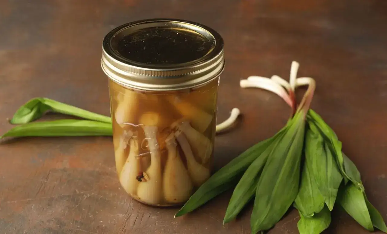 Preserved ramps in a jar, a delicious way to enjoy what to do with ramps year-round. Fresh ramps lie nearby.