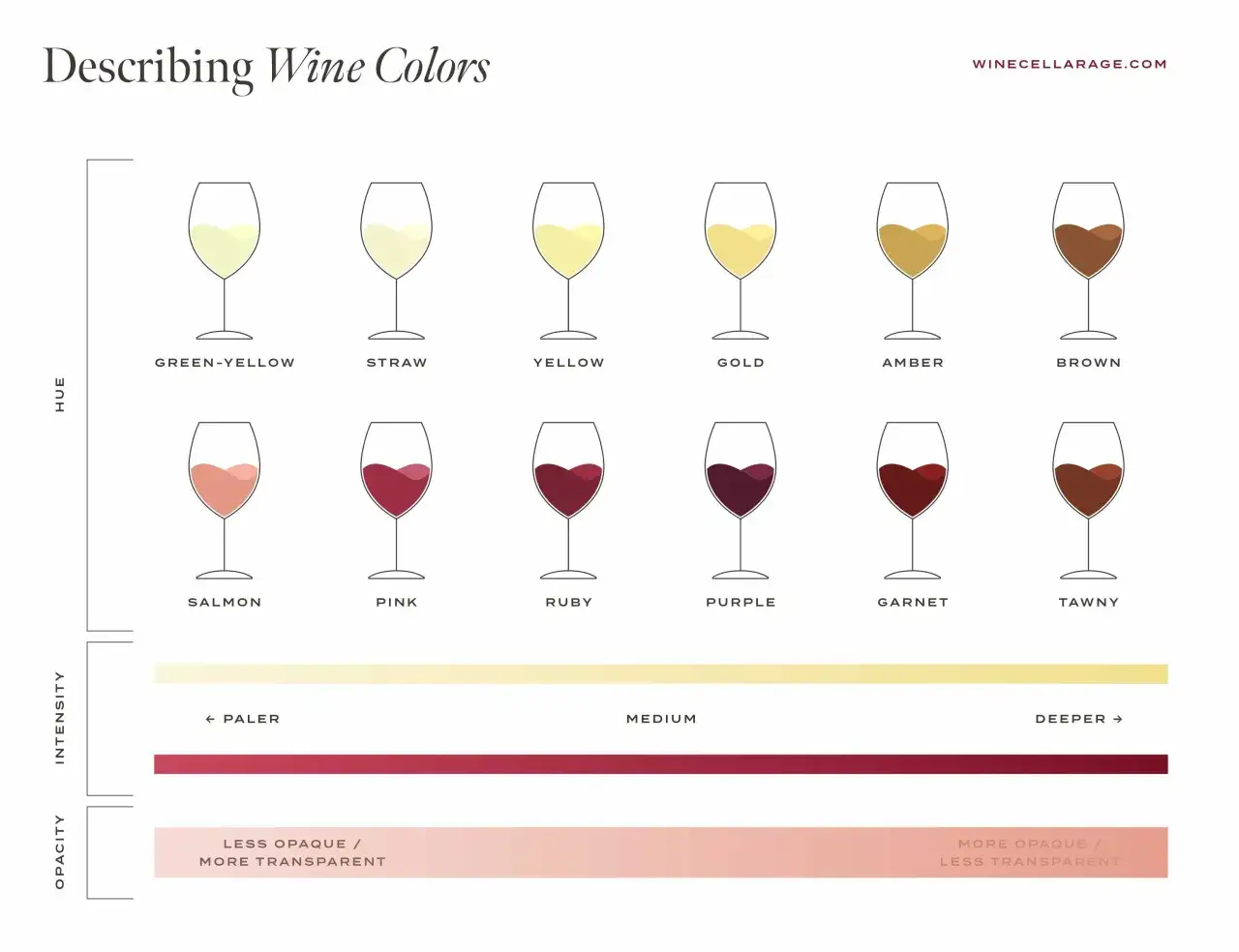 Chart showing wine color descriptions: green-yellow, straw, yellow, gold, amber, brown, salmon, pink, ruby, purple, garnet, and tawny.