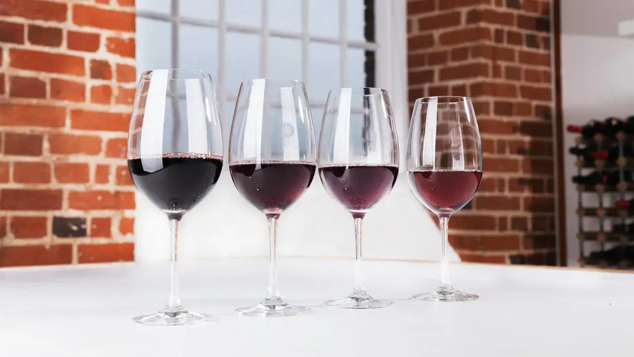 Four glasses of red wine, showcasing a range of colors from deep ruby to lighter garnet, suggest a tasting of low tannin red wine.