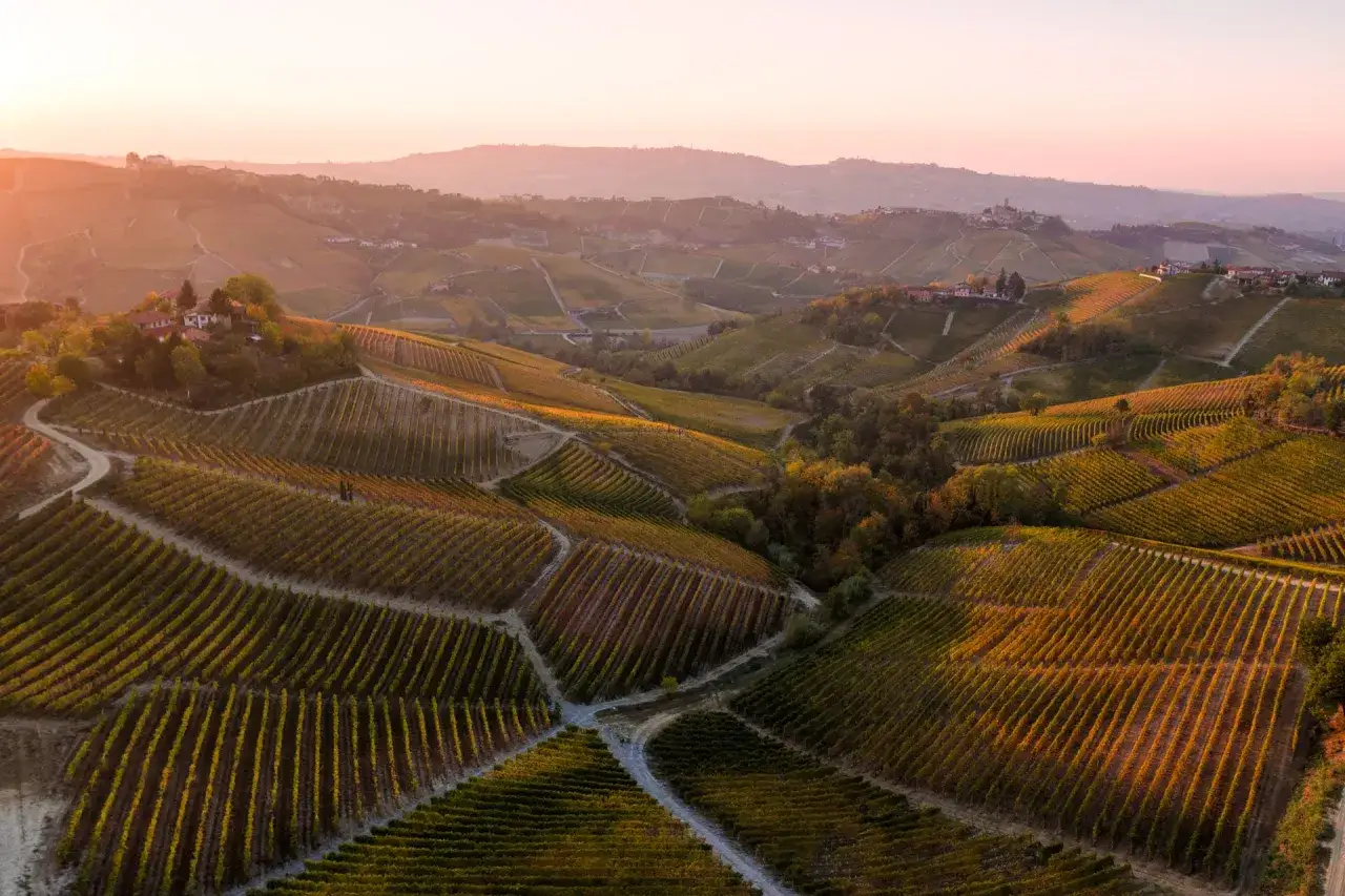 Rolling hills covered in vineyards, bathed in the golden light of sunset. This is the land where the noble nebbiolo grape thrives, promising rich, complex wines.