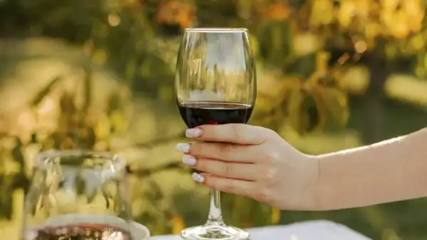 A hand with decorative nails holds a glass of rich Alicante Bouschet wine, ready for a toast amidst a sun-dappled garden.