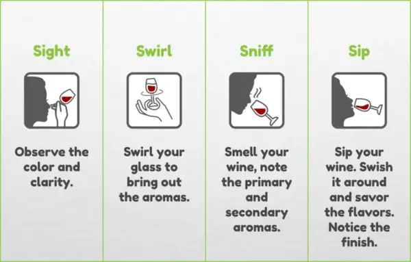 Four steps to wine tasting: sight (observe wine color), swirl, sniff, and sip.