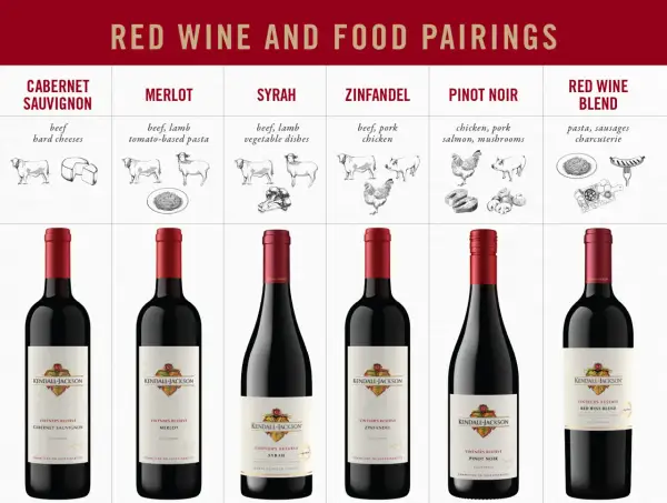 Red wine and food pairings chart: Merlot with tomato-based pasta, Cabernet Sauvignon with beef and hard cheeses, and other varietals.