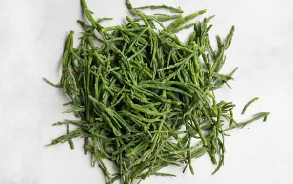 A pile of fresh, bright green sea beans, also known as samphire, ready to be seasoned and enjoyed.