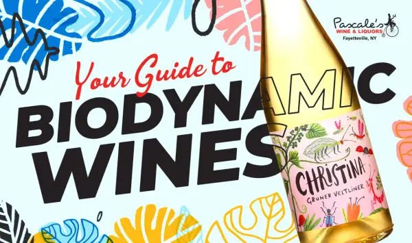 Your guide to biodynamic wines, featuring a bottle of Christina Gruner Veltliner with whimsical insect illustrations.