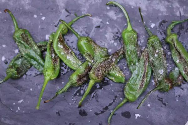 A pile of blistered, pan-fried Gernika peppers, glistening with oil and sprinkled with coarse sea salt, rest on a dark slate surface.