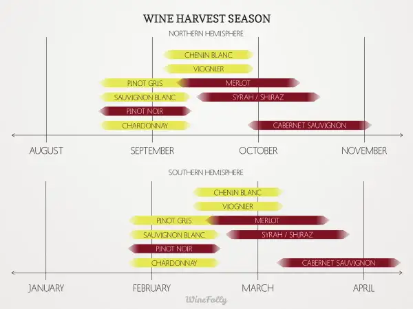 Timeline showing grape season for various wines in Northern and Southern Hemispheres, from August to November and January to April respectively.