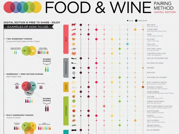 A visual guide to food and wine pairing, showcasing different types of wine and their ideal matches with various meats, cheeses, and vegetables.
